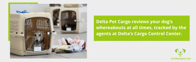 delta airlines pet weight limit