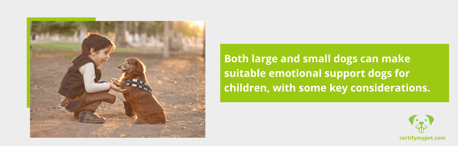 Best Emotional Support Dogs for Children