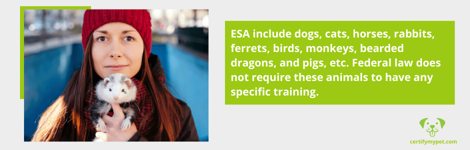 ESA pet types in addition to dogs and cats