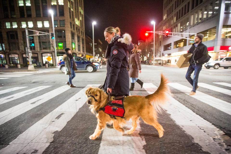 Can an Emotional Support Dog Go Anywhere With You?