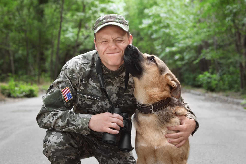psychiatric service dogs really help veterans with ptsd
