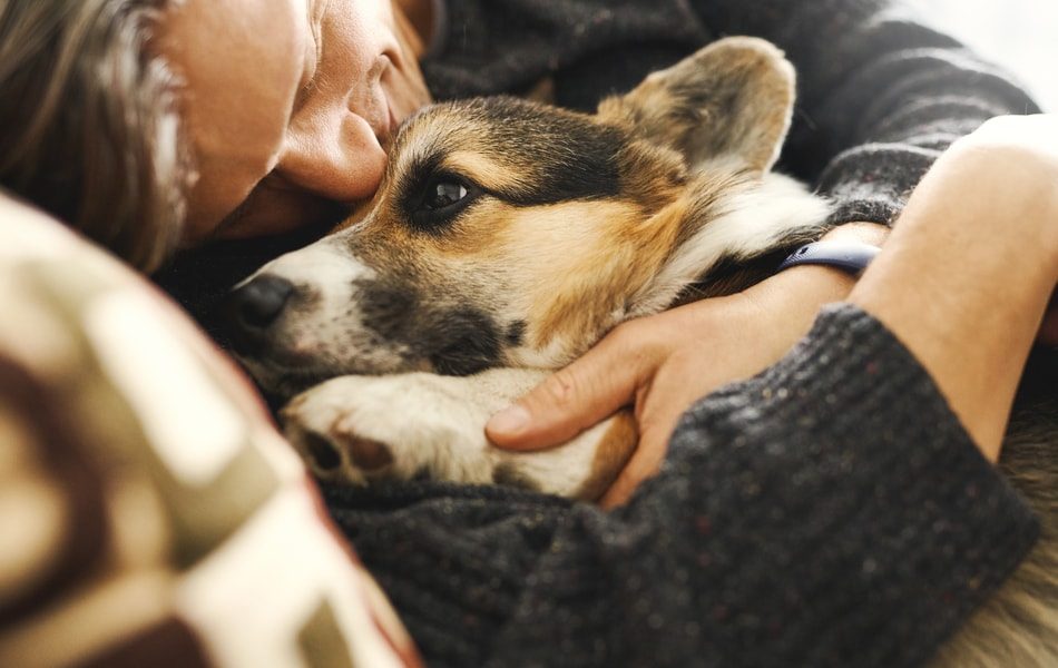 service-dogs-for-depression-anxiety-tasks-and-benefits