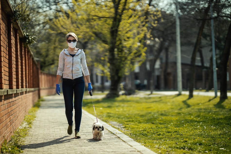 Walking Your Dog During Coronavirus Pandemic